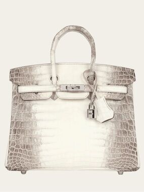 Embossed Leather H Himalaya Birkin bag 25 30 Niloticus Crocodile Encrusted PHW